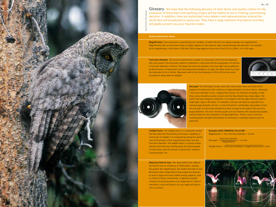 Glossary | LEICA Geovid 10x42 BRF User Manual | Page 46 / 51