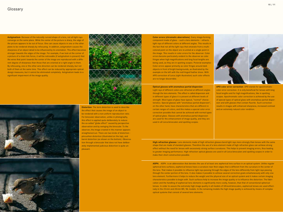 Glossary | LEICA Geovid 10x42 BRF User Manual | Page 48 / 51