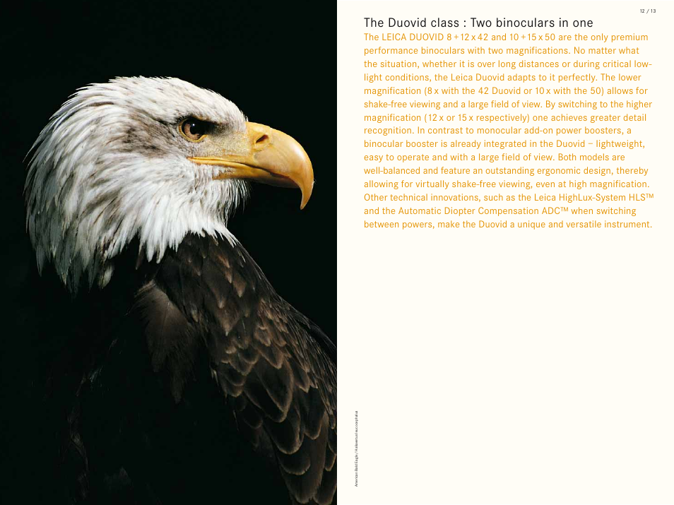 The duovid class : two binoculars in one | LEICA Geovid 10x42 BRF User Manual | Page 9 / 51