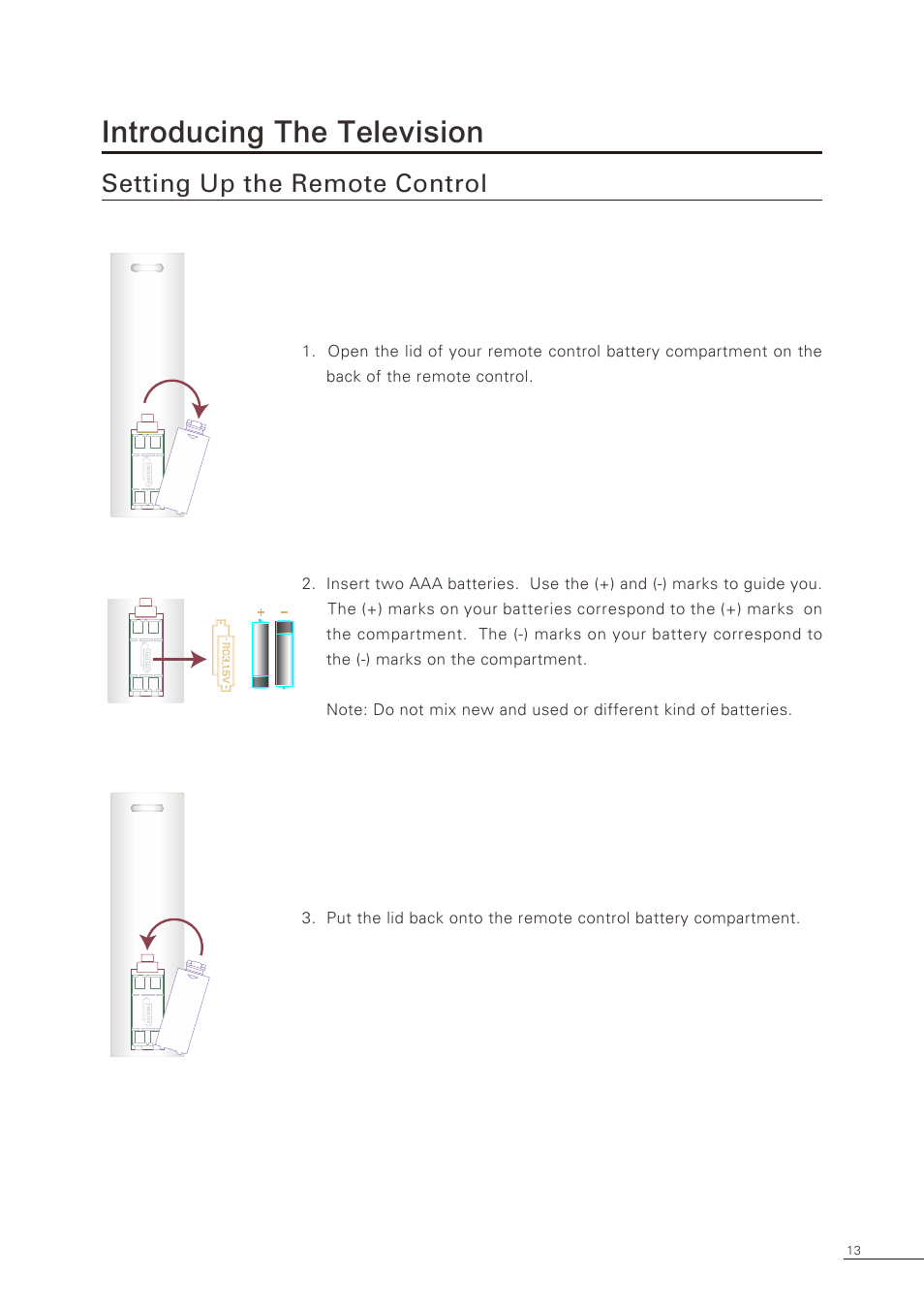 Introducing the television, Setting up the remote control | Proton CS-32 User Manual | Page 14 / 63