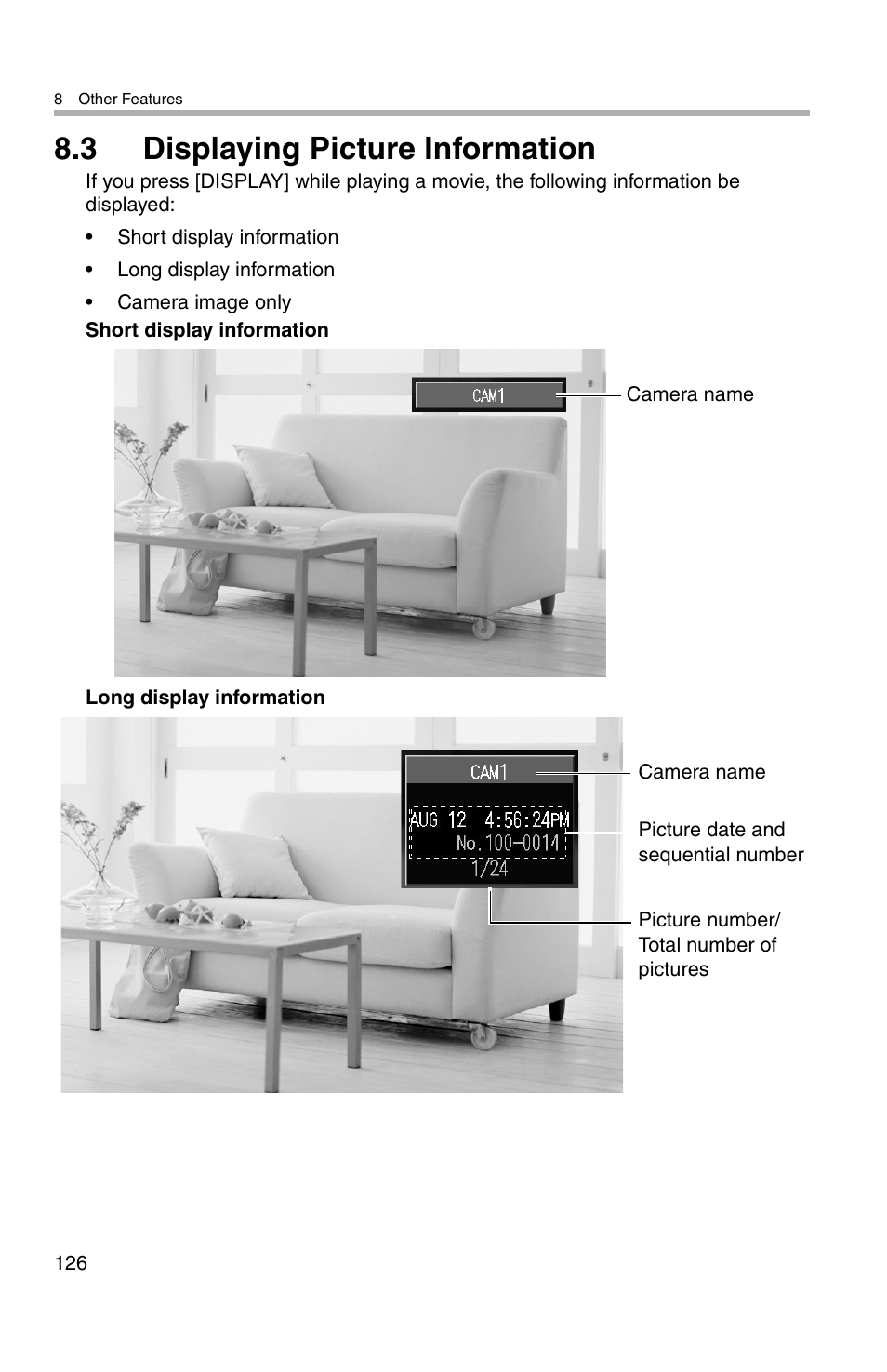3 displaying picture information | Panasonic BL-WV10A User Manual | Page 126 / 184