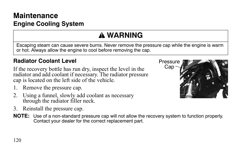 Maintenance, Warning | Polaris Outlaw 525 IRS User Manual | Page 123 / 220