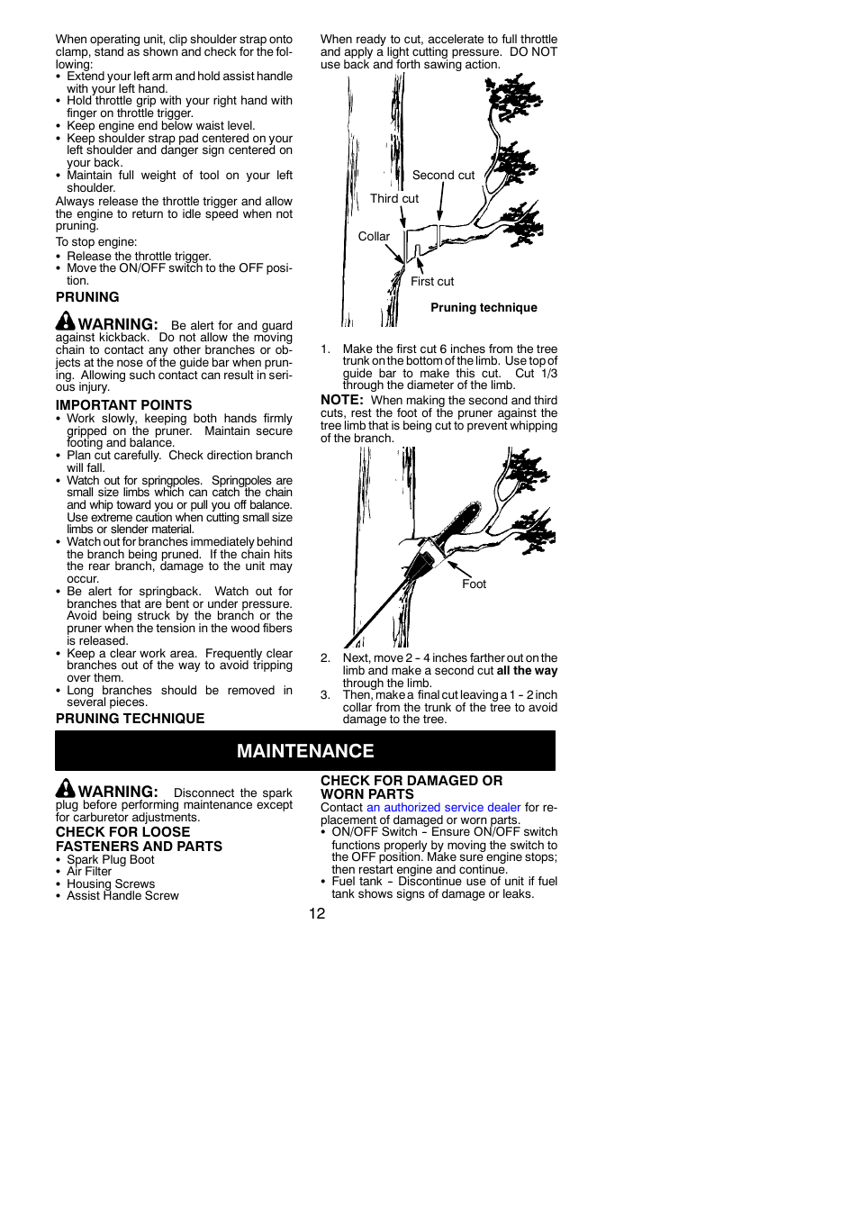Maintenance, Warning | Poulan 530163735 User Manual | Page 12 / 18