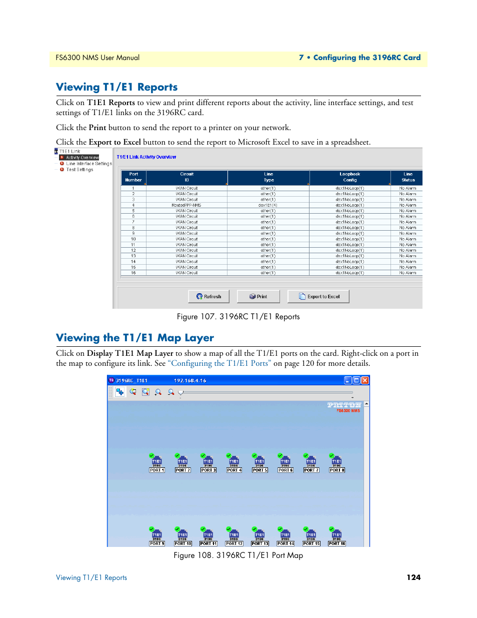 Viewing t1/e1 reports, Viewing the t1/e1 map layer, 107 3196rc t1/e1 reports 108 3196rc t1/e1 port map | Patton electronic FORESIGHT 6300 User Manual | Page 124 / 145