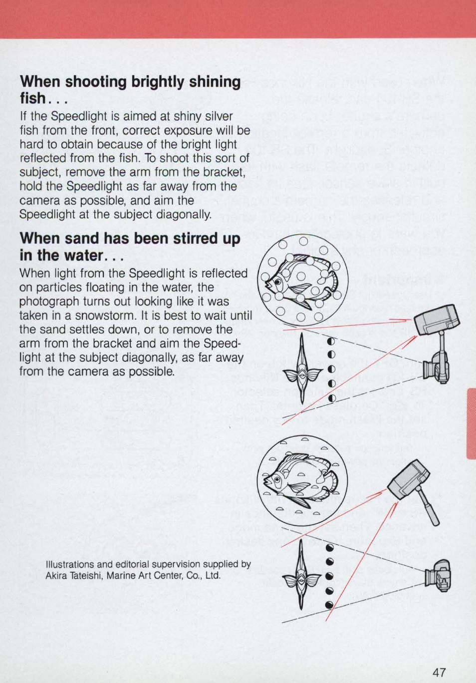 When shooting brightly shining fish, When sand has been stirred up in the water | Nikon 58-104 User Manual | Page 47 / 72