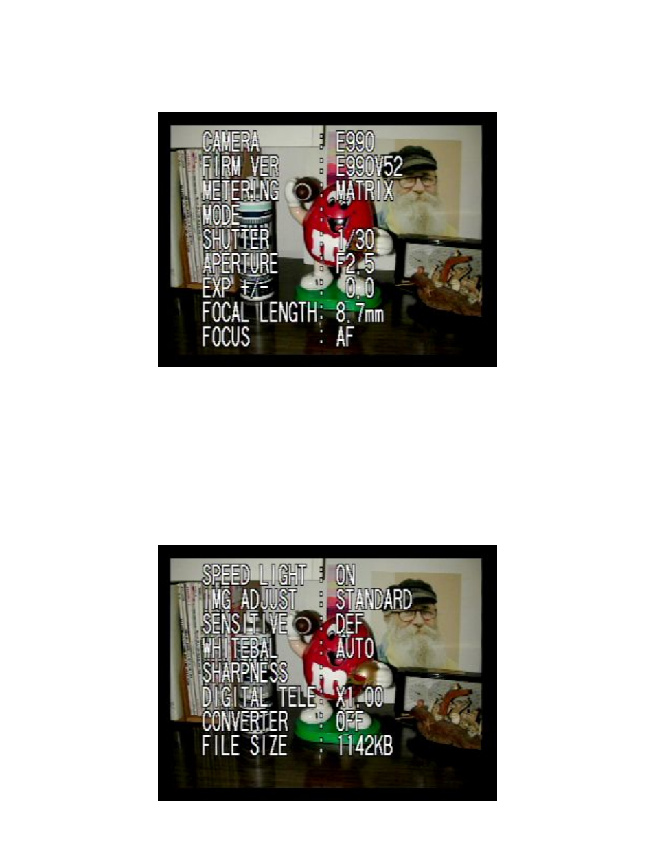 Nikon Coolpix 990 User Manual | Page 40 / 50