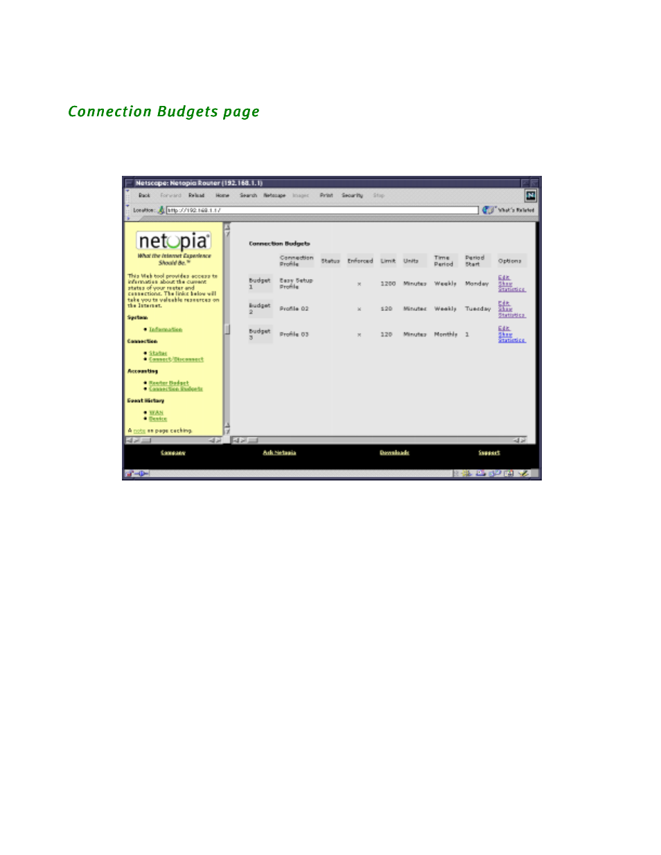 Allows you to set up and track thr | Netopia R2020 User Manual | Page 94 / 312