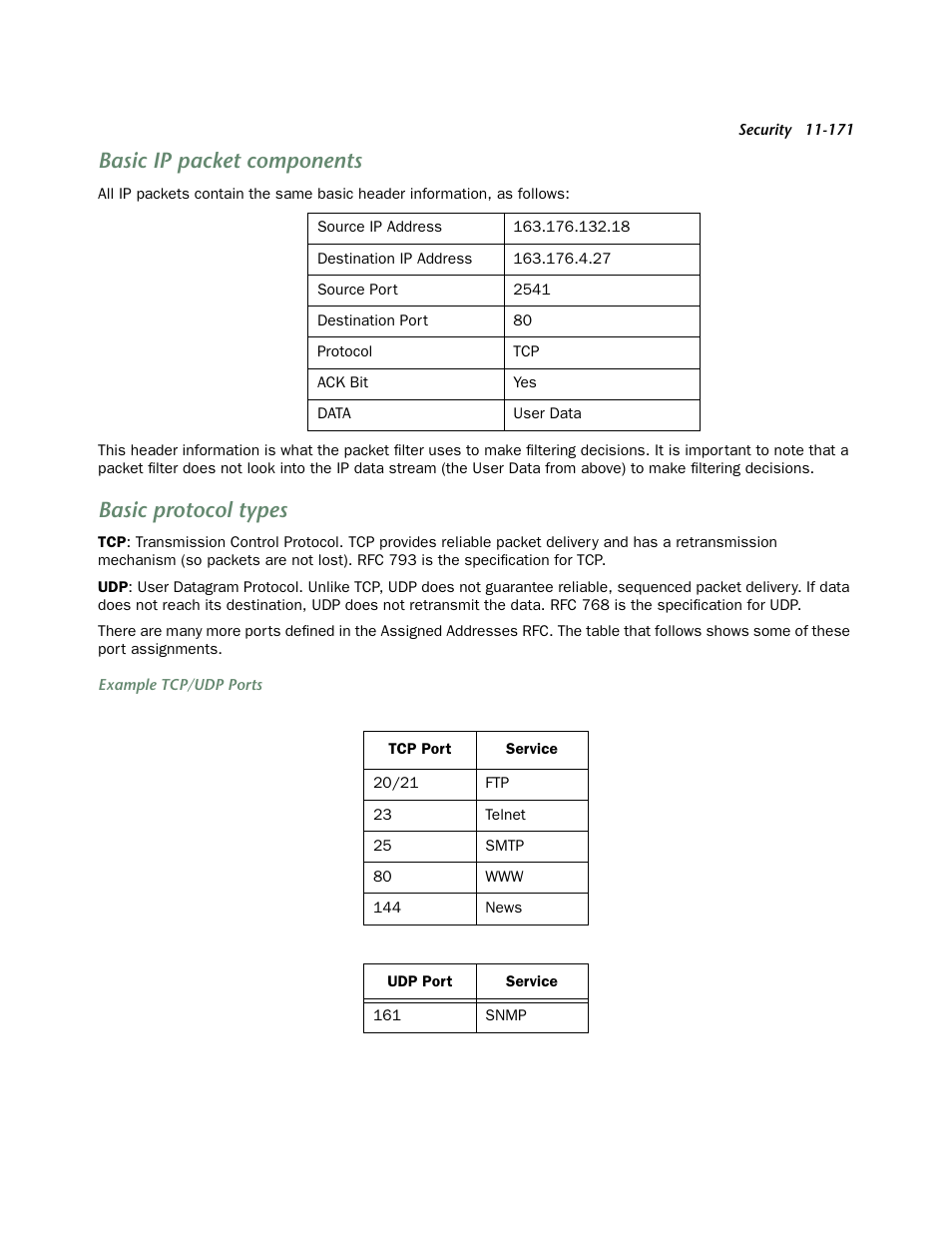 Basic ip packet components, Basic protocol types | Netopia 4553 User Manual | Page 171 / 218