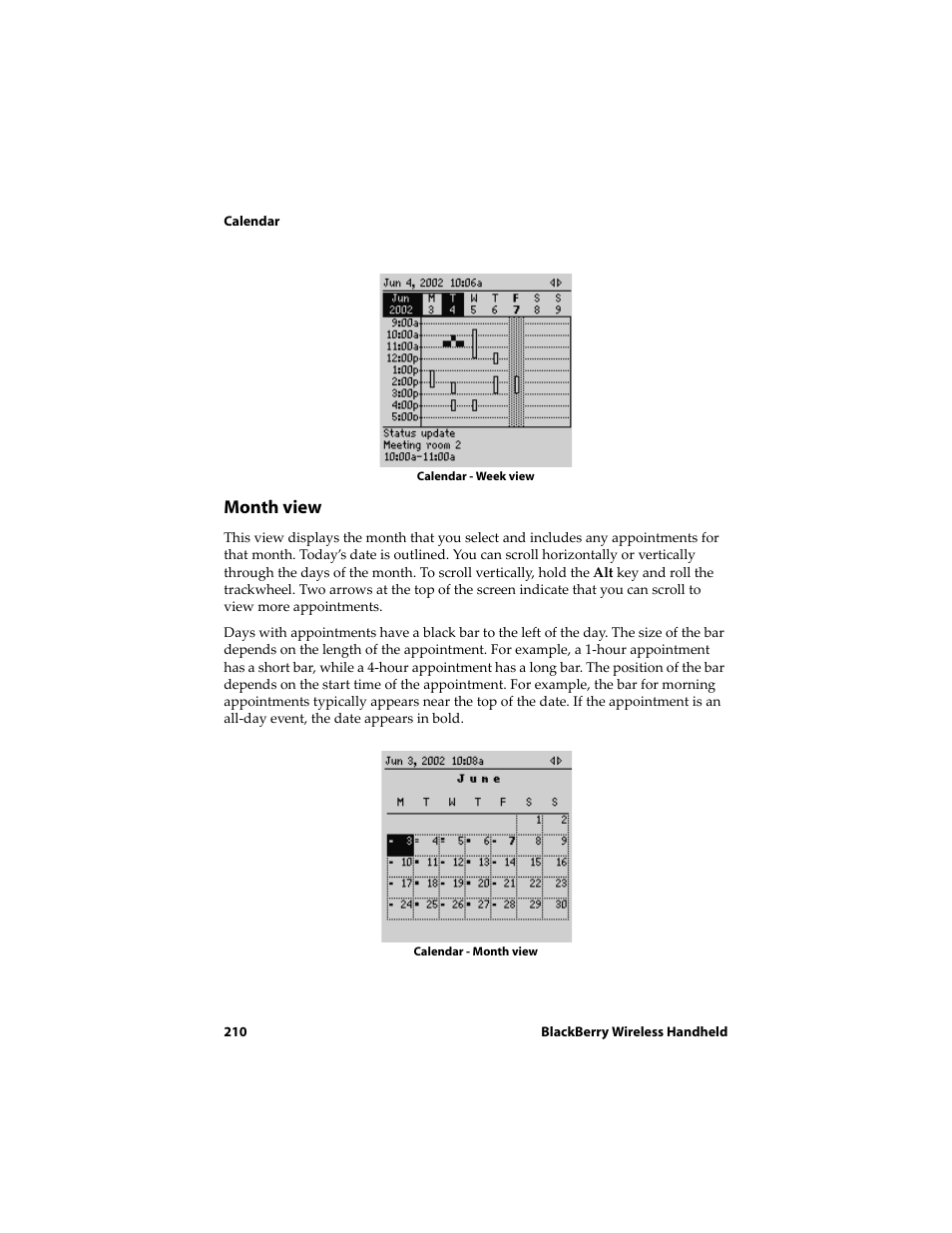 Month view | Blackberry 6710 User Manual | Page 210 / 309