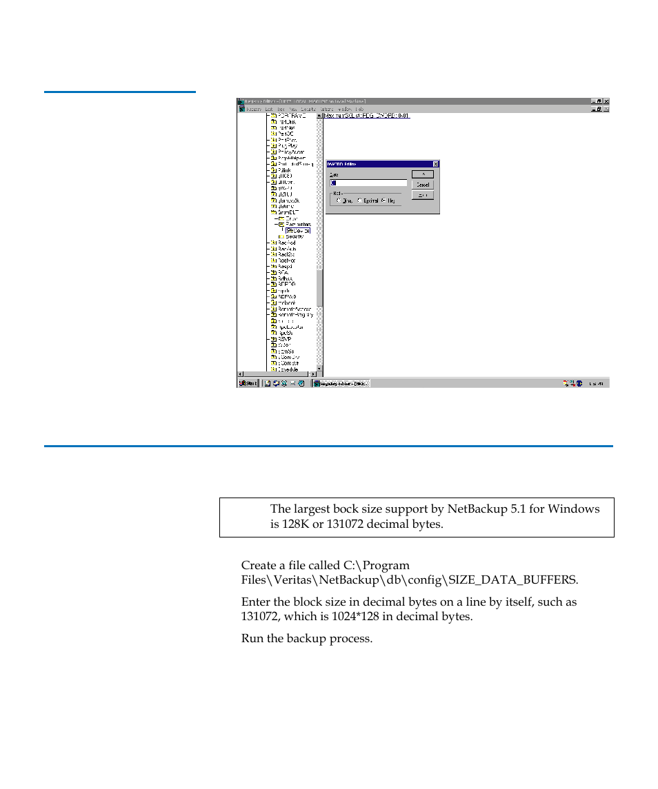 Procedure b: veritas netbackup, Figure 48, Registry editor | Quantum TC2201 User Manual | Page 150 / 164
