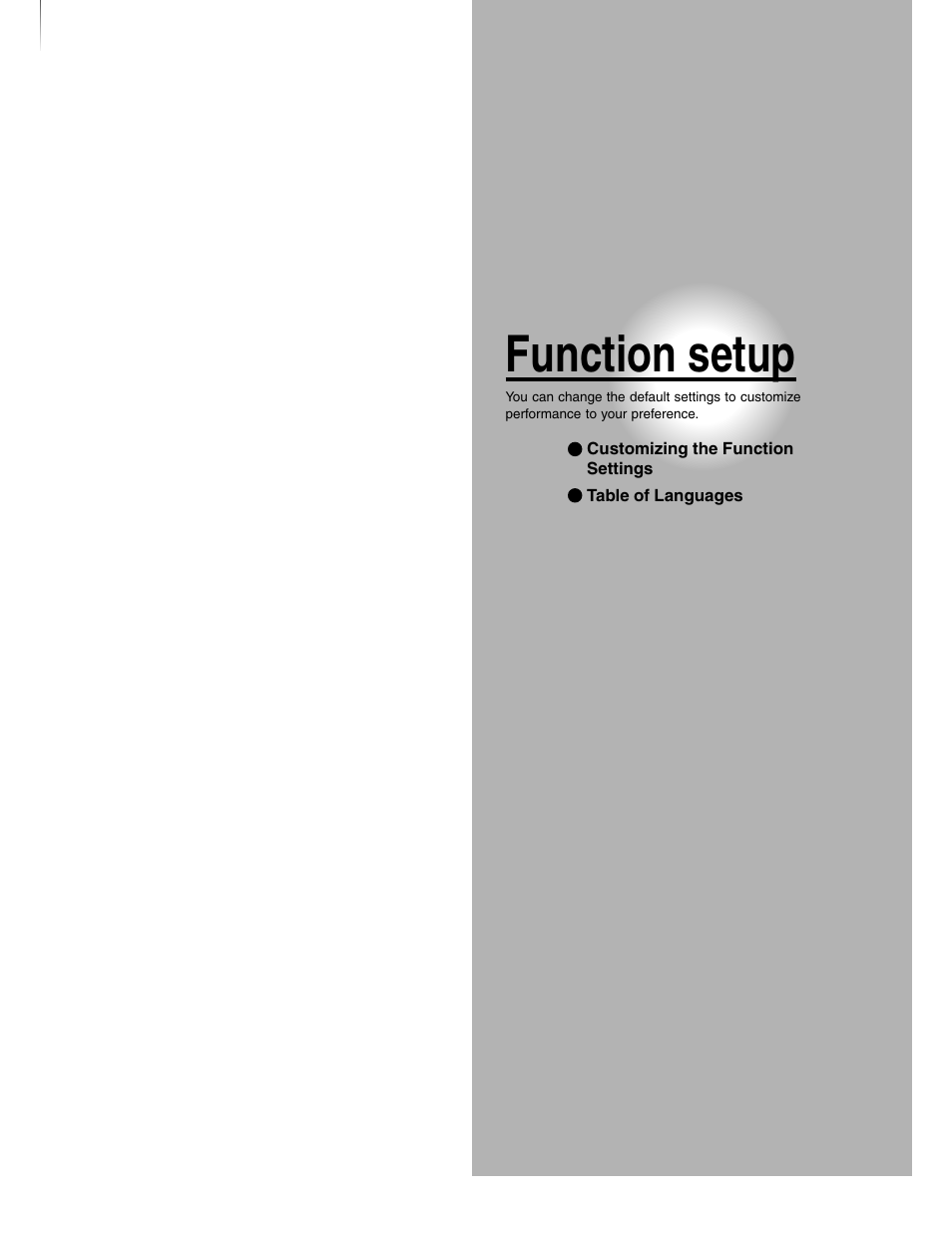 Function setup | Toshiba SD-4980SU User Manual | Page 53 / 73
