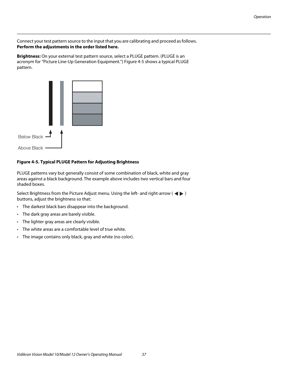 Brightness, 5. typical pluge pattern for adjusting brightness, Pre l iminar y | Vidikron Vision 12 User Manual | Page 47 / 74