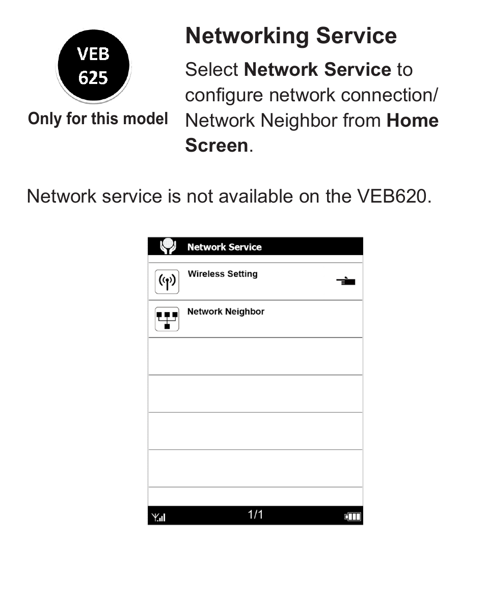 Networking service | VIEWSONIC VS13394 User Manual | Page 54 / 73