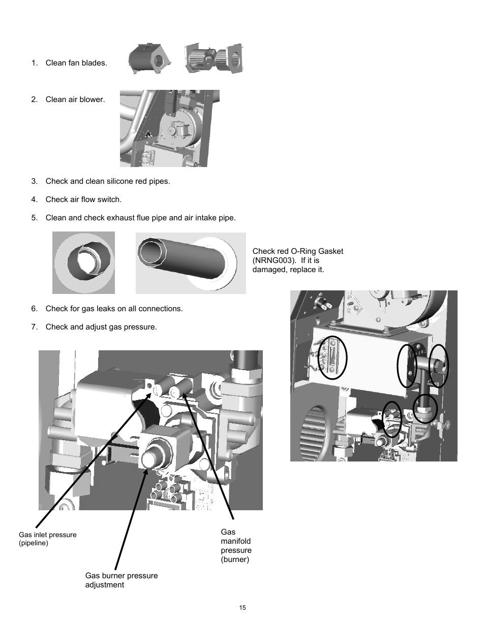 Annual maintenance requirements | Williams 2903512 User Manual | Page 16 / 24