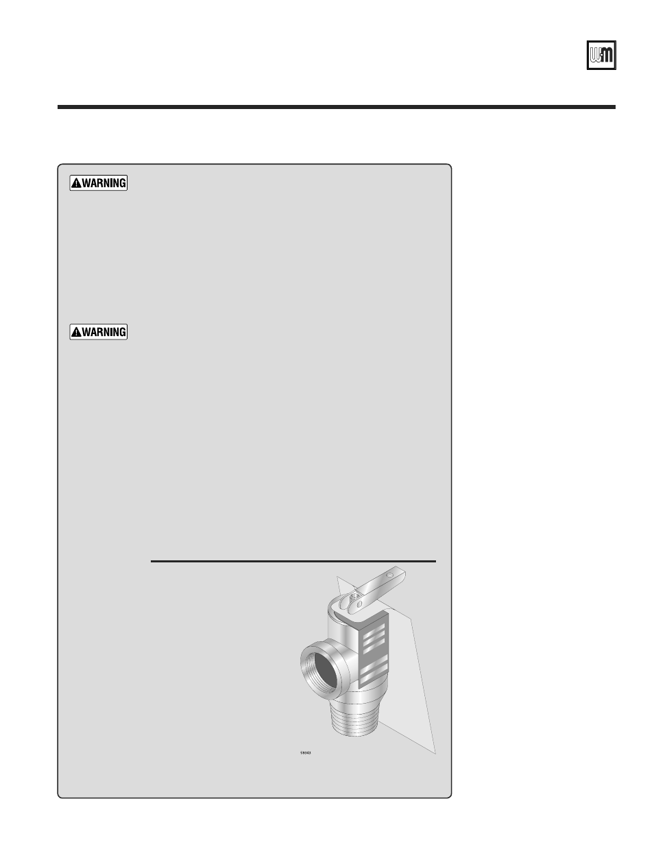 Gold cgs gas-fired water boiler — boiler manual | Weil-McLain GOLD CGS 550-110-260/0508 User Manual | Page 41 / 64