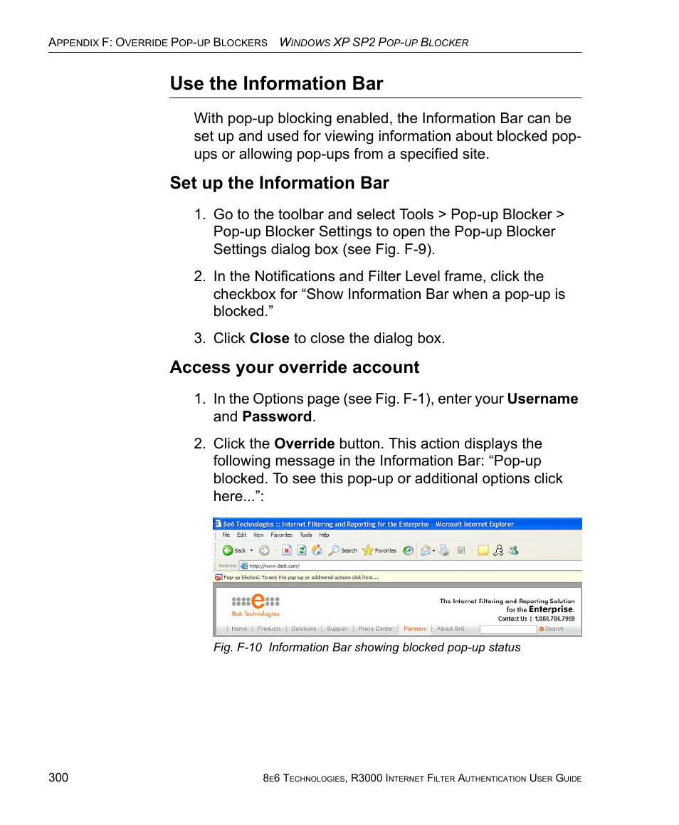 Use the information bar, Set up the information bar, Access your override account | 8e6 Technologies Enterprise Filter Authentication R3000 User Manual | Page 314 / 333