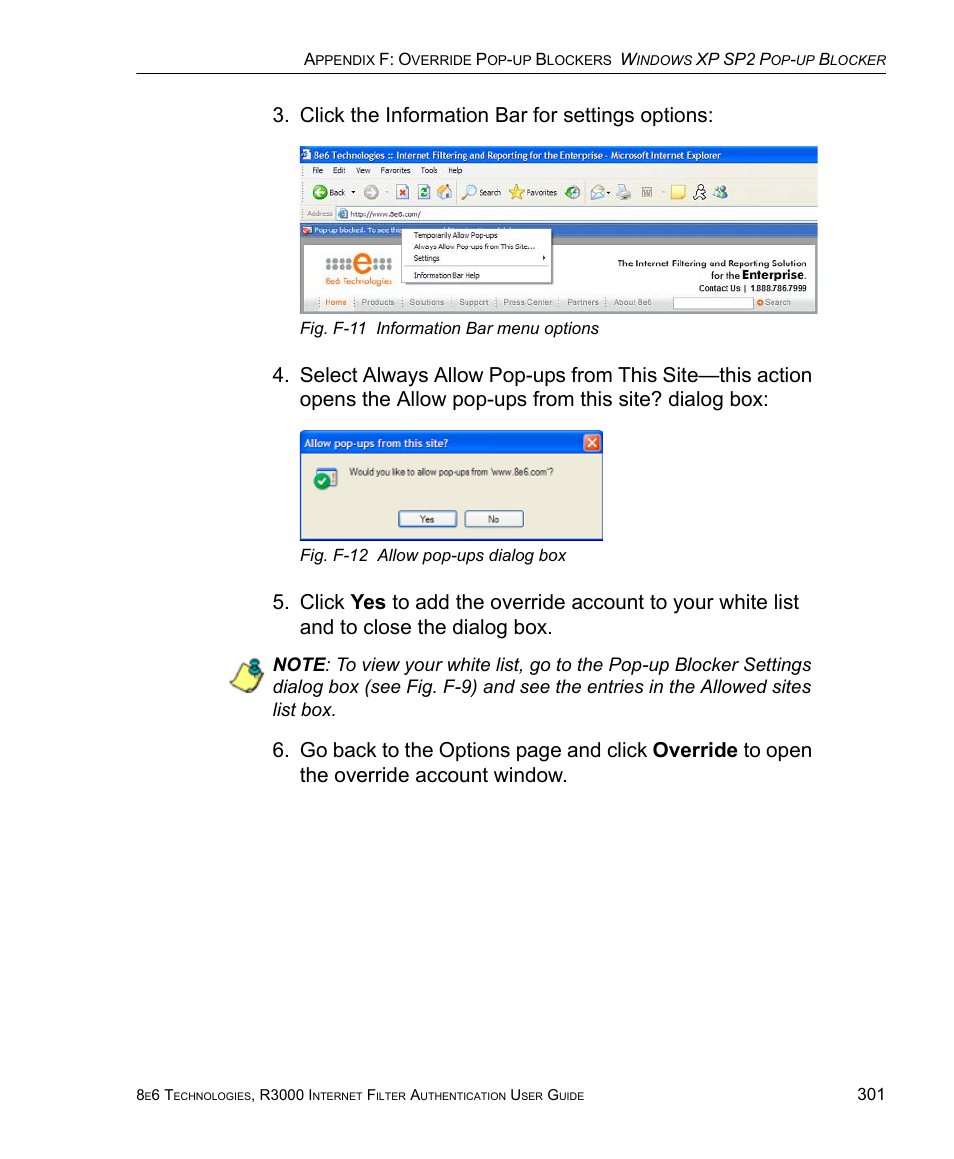 Click the information bar for settings options | 8e6 Technologies Enterprise Filter Authentication R3000 User Manual | Page 315 / 333