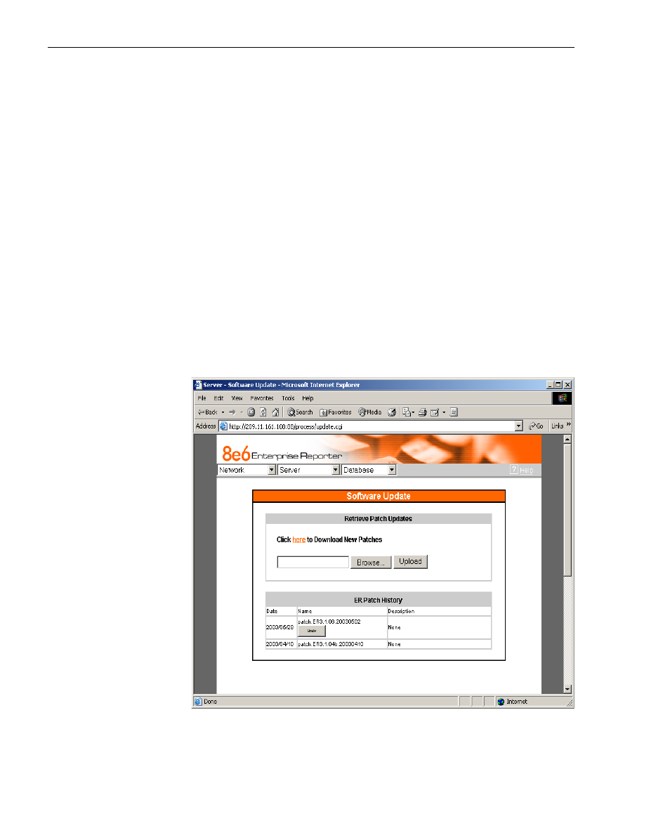 Software update screen, Server, Download patch | Server software, Terminate all port connections | 8e6 Technologies 3 User Manual | Page 52 / 215
