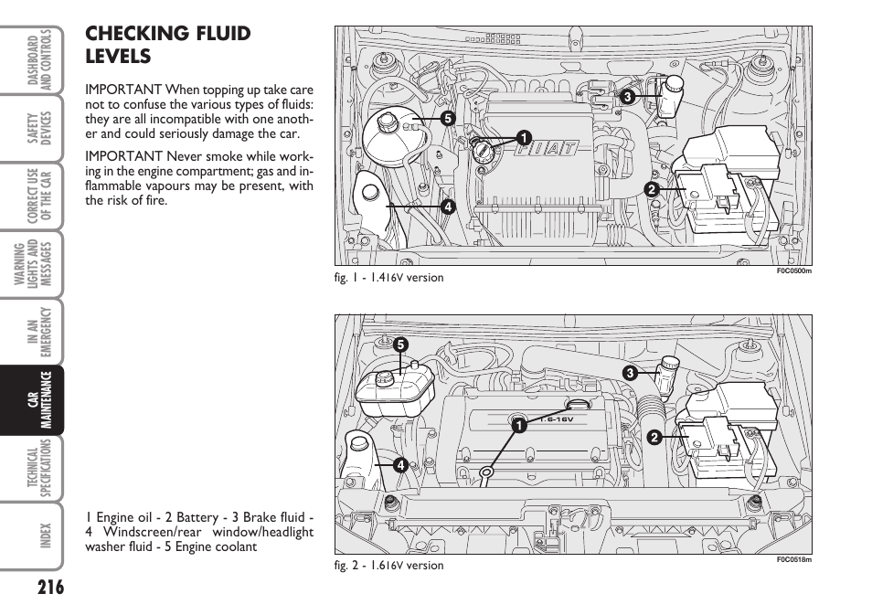 Checking fluid levels | FIAT Stilo User Manual | Page 217 / 274