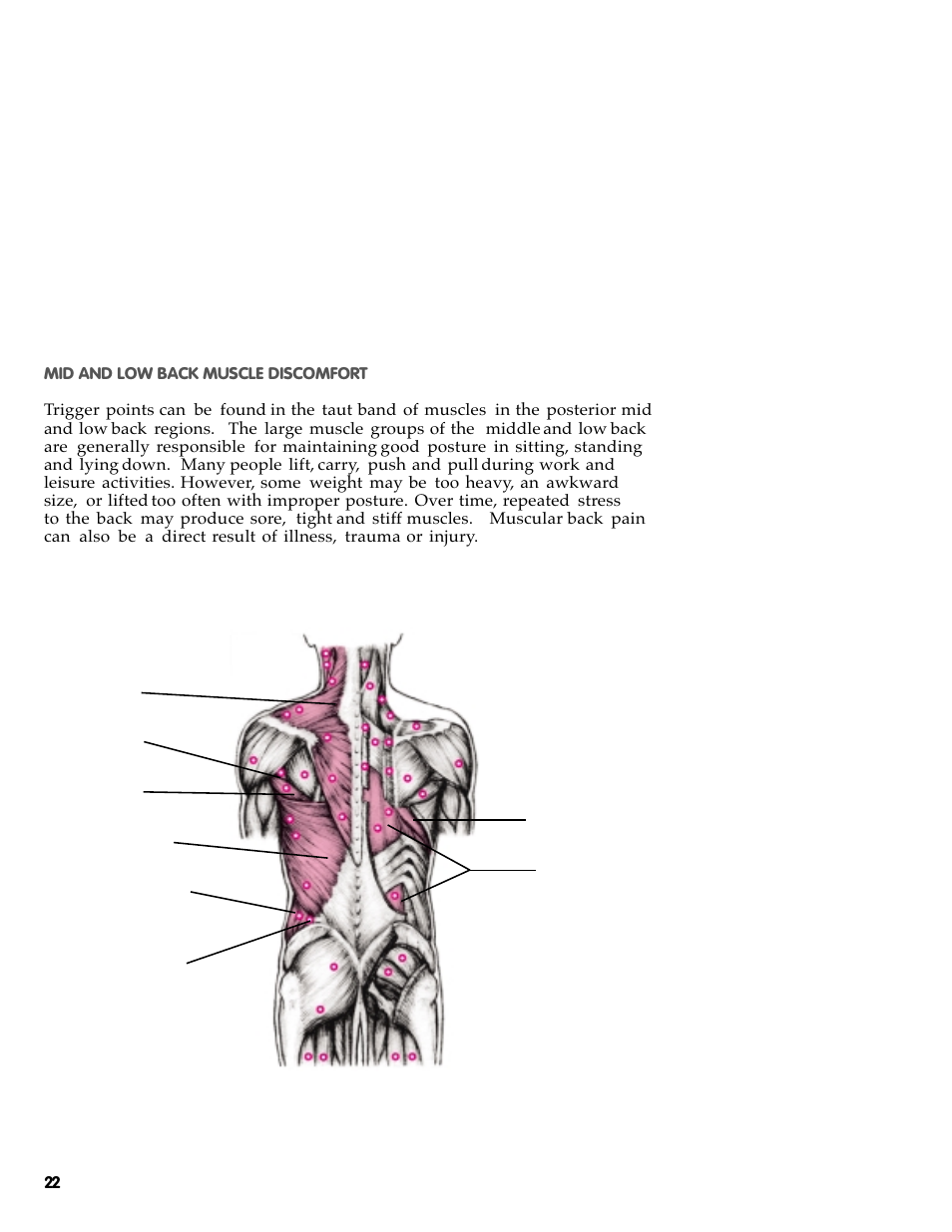 Activeforever The Original Backnobber II User Manual | Page 24 / 37