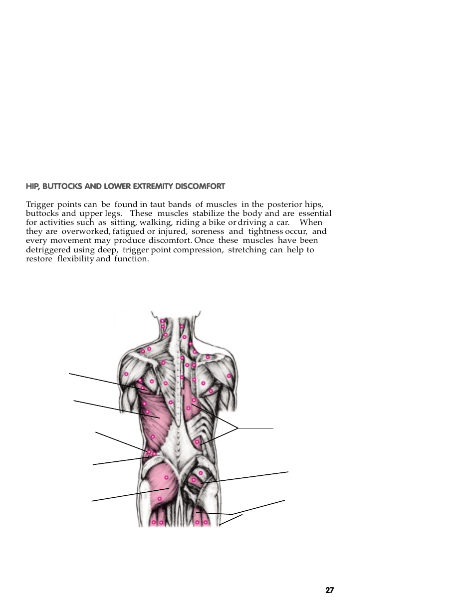 Activeforever The Original Backnobber II User Manual | Page 29 / 37