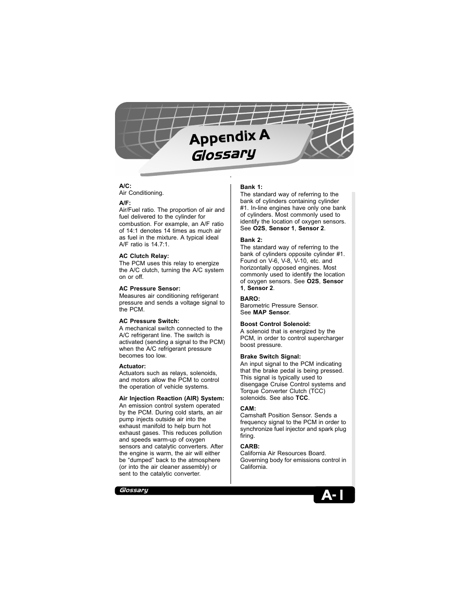 Appendix a glossary, Glossary, Appendix a | Actron CP9135 OBD II AutoScanner User Manual | Page 25 / 120