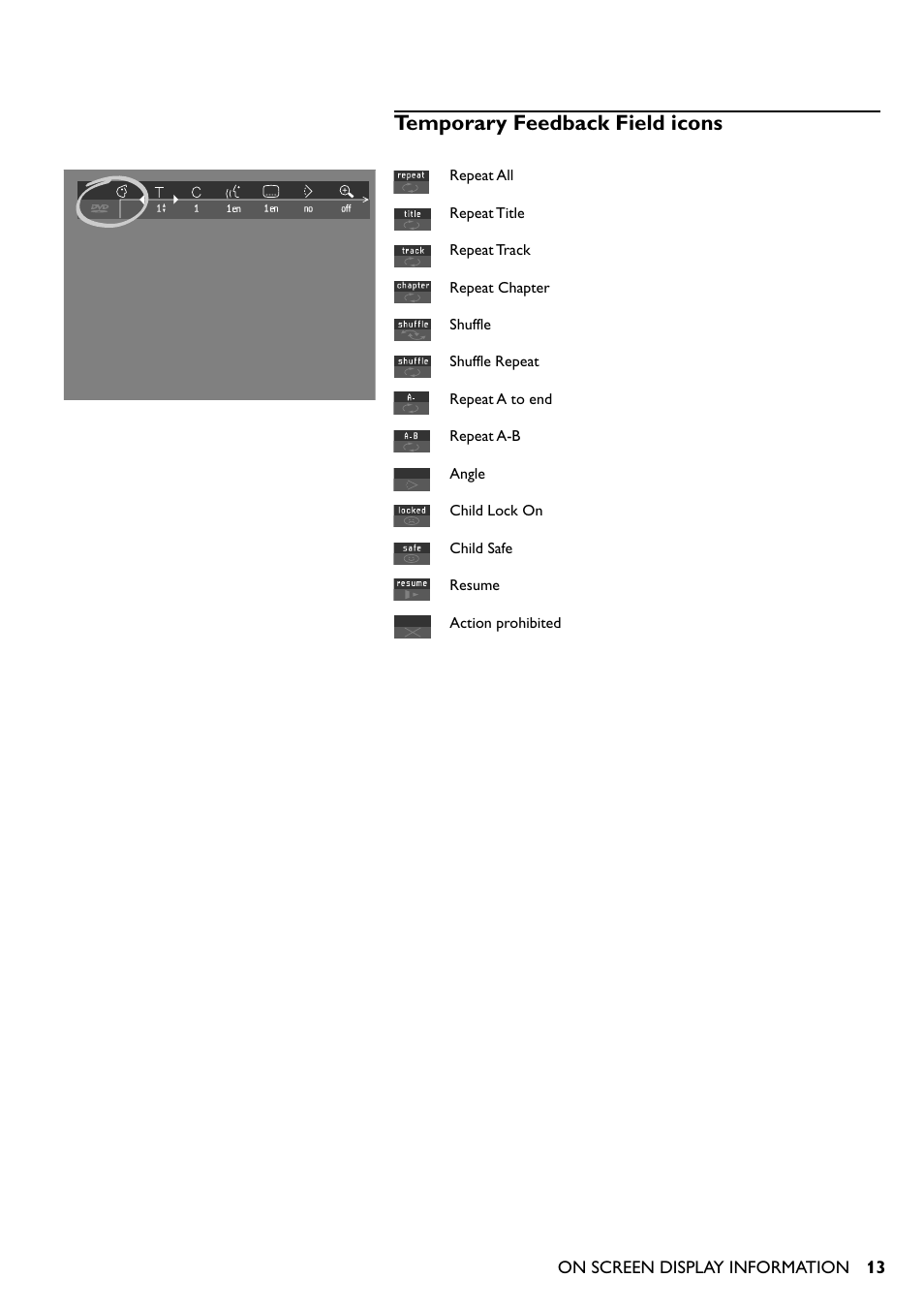 Temporary feedback field icons, General notes | Yamaha DVD-S510 User Manual | Page 13 / 36