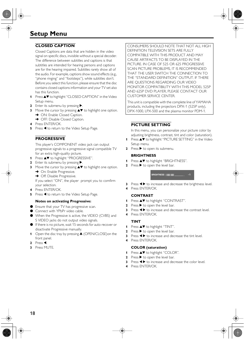 Closed caption progressive picture setting, Setup menu | Yamaha DV-SL100 User Manual | Page 22 / 30