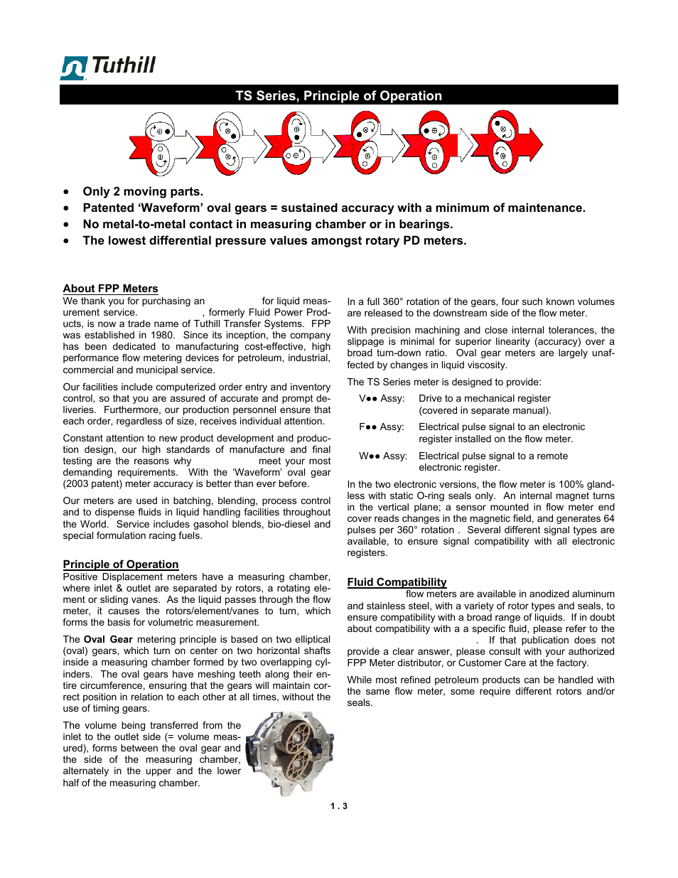 Fill-Rite TS SS F & W Precision Meter User Manual | Page 3 / 28
