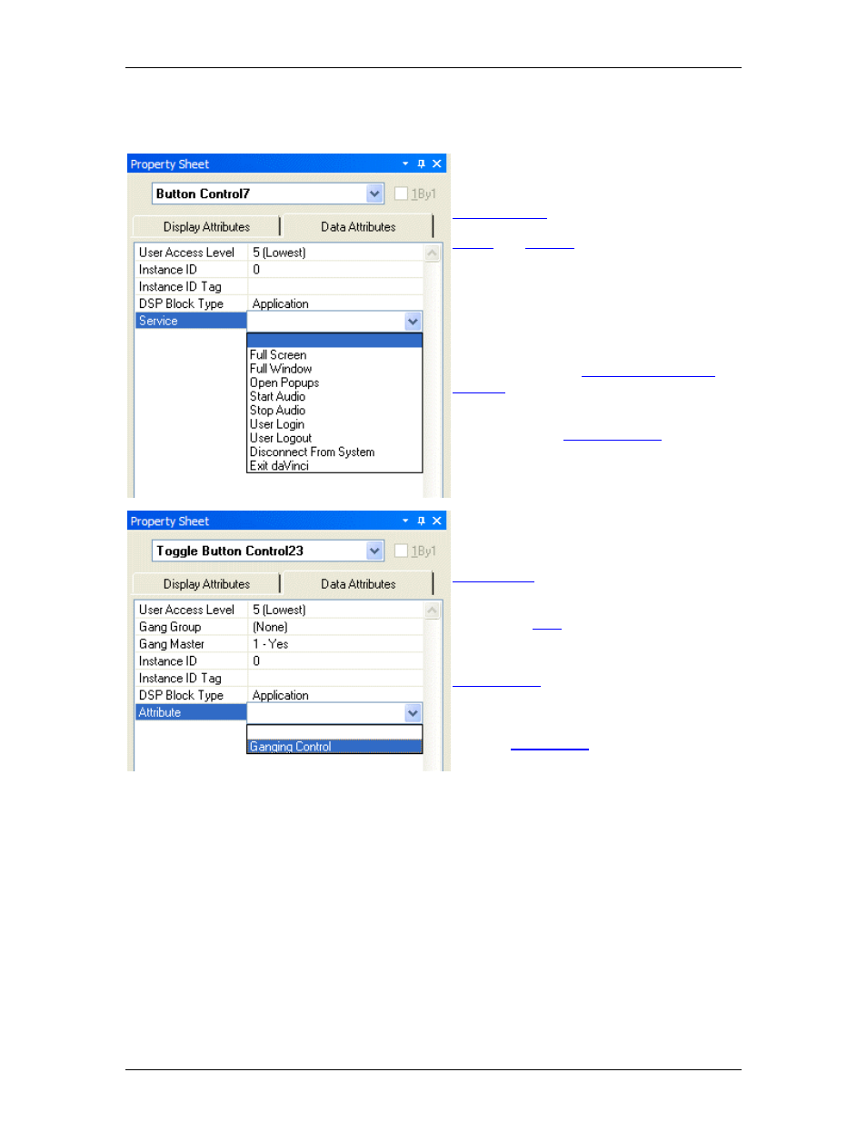 Application controls, One of two different, Full-screen | Application | Biamp A4 User Manual | Page 79 / 89