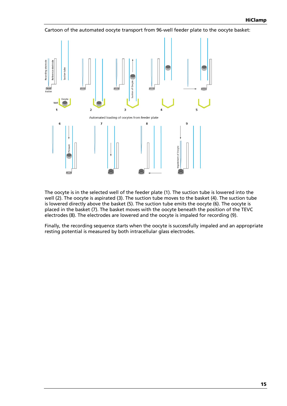 Multichannel Systems HiClamp Manual User Manual | Page 21 / 81