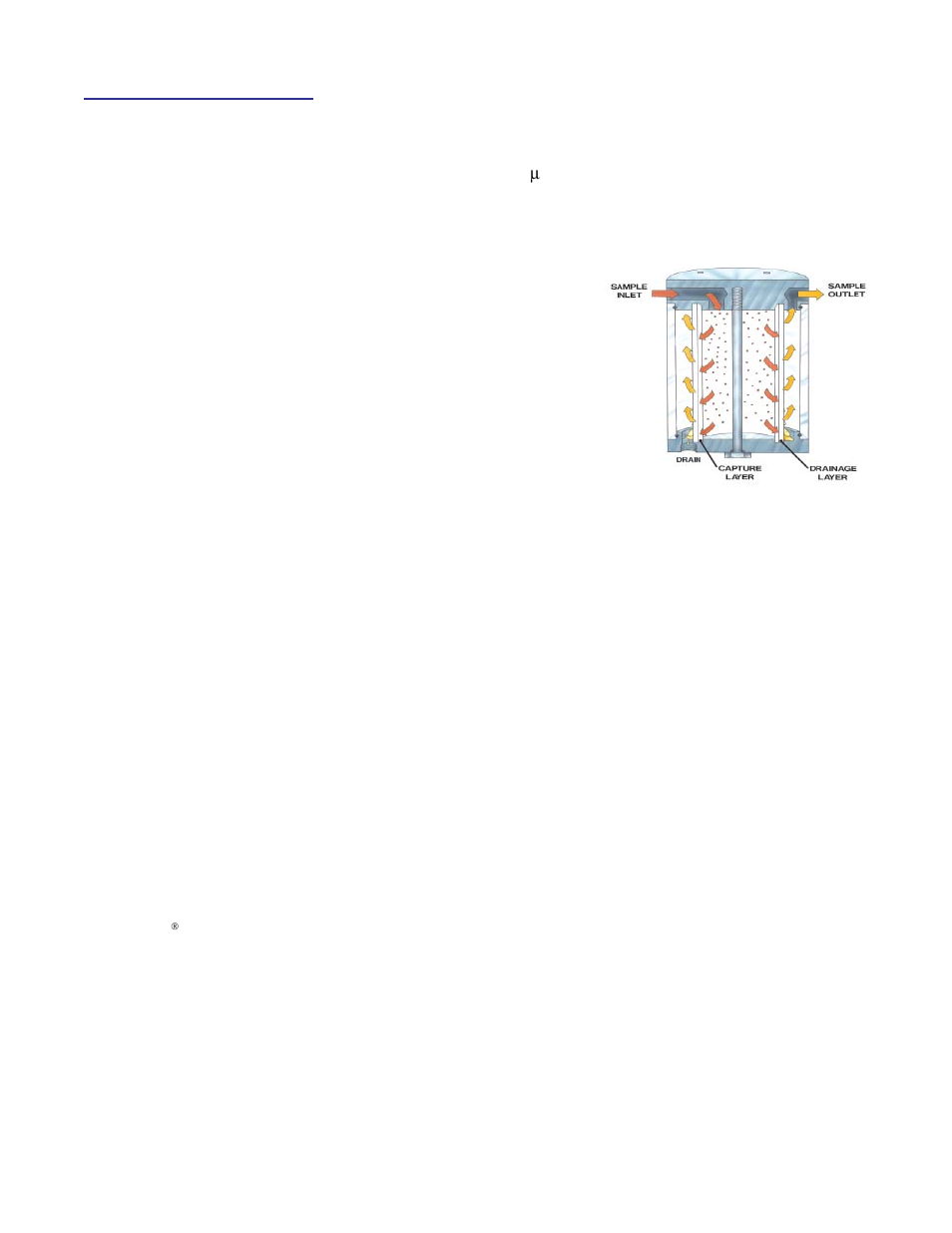 Perma Pure Ambi-GASS User Manual | Page 5 / 17