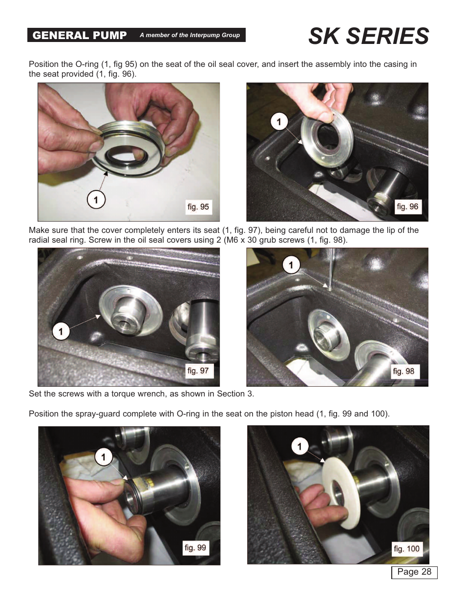 Sk series | General Pump SK Repair Manual User Manual | Page 28 / 44