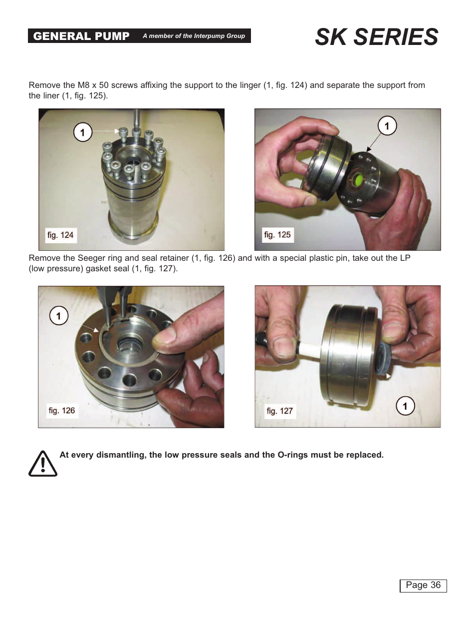 Sk series | General Pump SK Repair Manual User Manual | Page 36 / 44