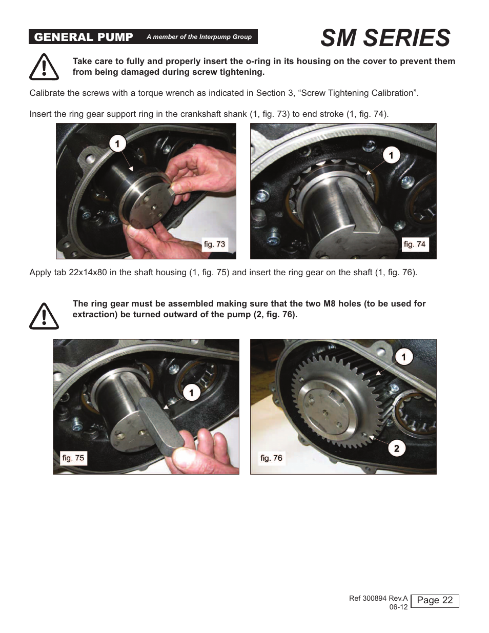 Sm series | General Pump SM Repair Manual User Manual | Page 22 / 41