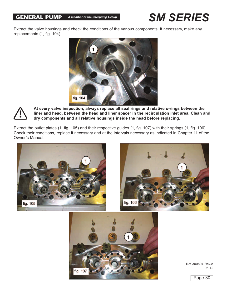 Sm series | General Pump SM Repair Manual User Manual | Page 30 / 41