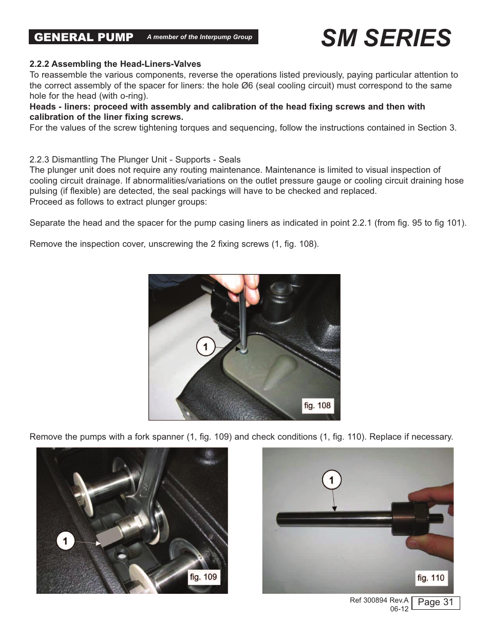 Sm series | General Pump SM Repair Manual User Manual | Page 31 / 41