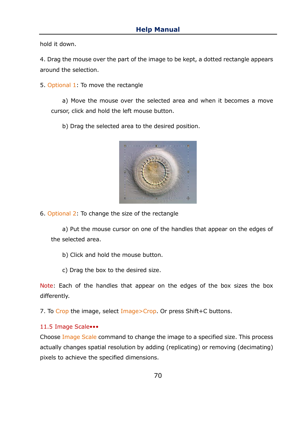 5 image scale, Image scale | Levenhuk C800 NG Digital Camera, USB 2.0 User Manual | Page 78 / 143