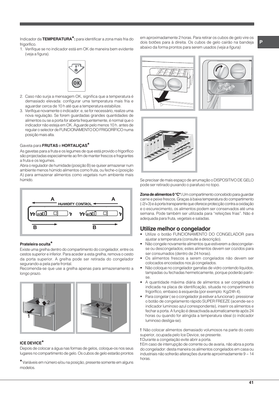 Utilize melhor o congelador | Hotpoint Ariston E4D xx xx User Manual | Page 41 / 52