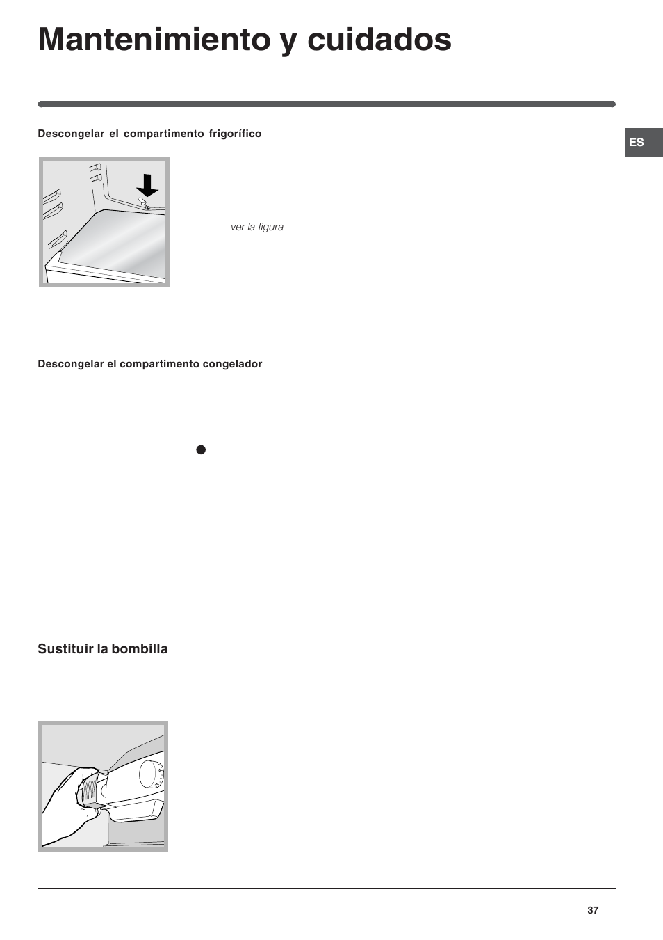 Mantenimiento y cuidados | Hotpoint Ariston Doble puerta BD 2922 EU-HA User Manual | Page 37 / 52