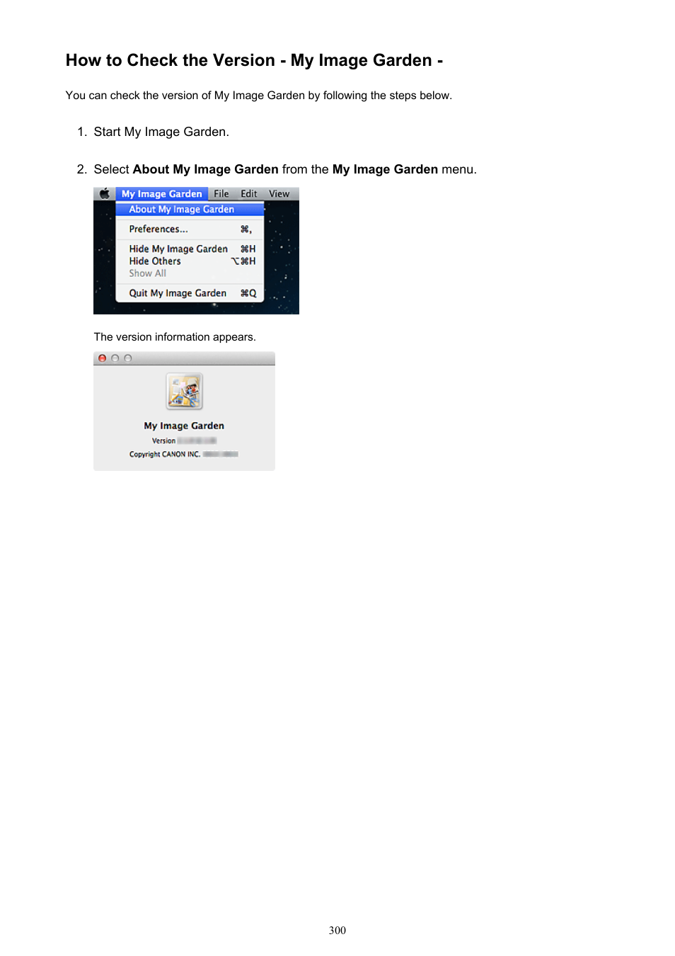 How to check the version - my image garden | Canon PIXMA MX395 User Manual | Page 300 / 300