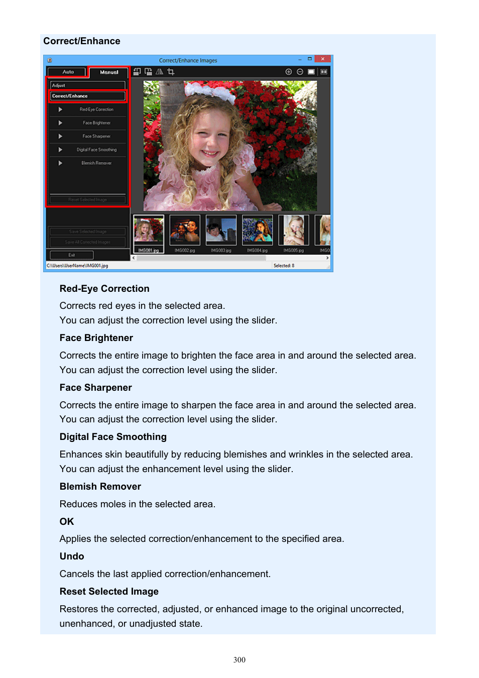Canon PIXMA IP2700 User Manual | Page 300 / 339