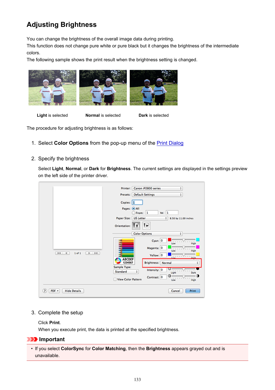Adjusting brightness | Canon PIXMA iP2850 User Manual | Page 133 / 246