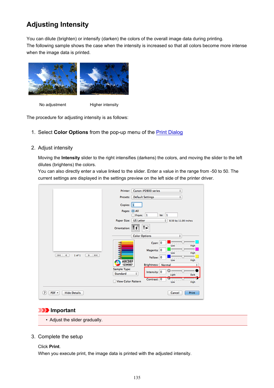 Adjusting intensity | Canon PIXMA iP2850 User Manual | Page 135 / 246