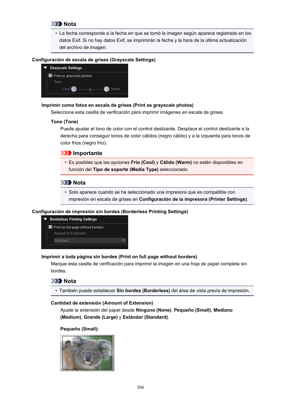 Canon PIXMA PRO-1 User Manual | Page 306 / 320