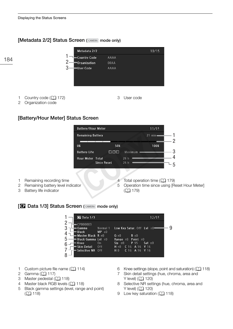 Cop y | Canon EOS C500 User Manual | Page 184 / 210