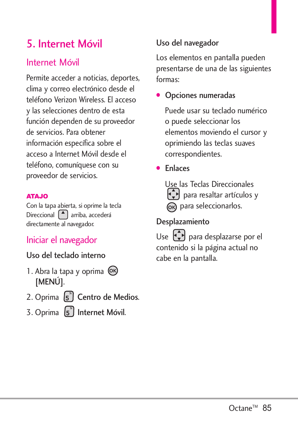 Internet móvil, Iniciar el navegador | LG Octane VN530 User Manual | Page 251 / 345