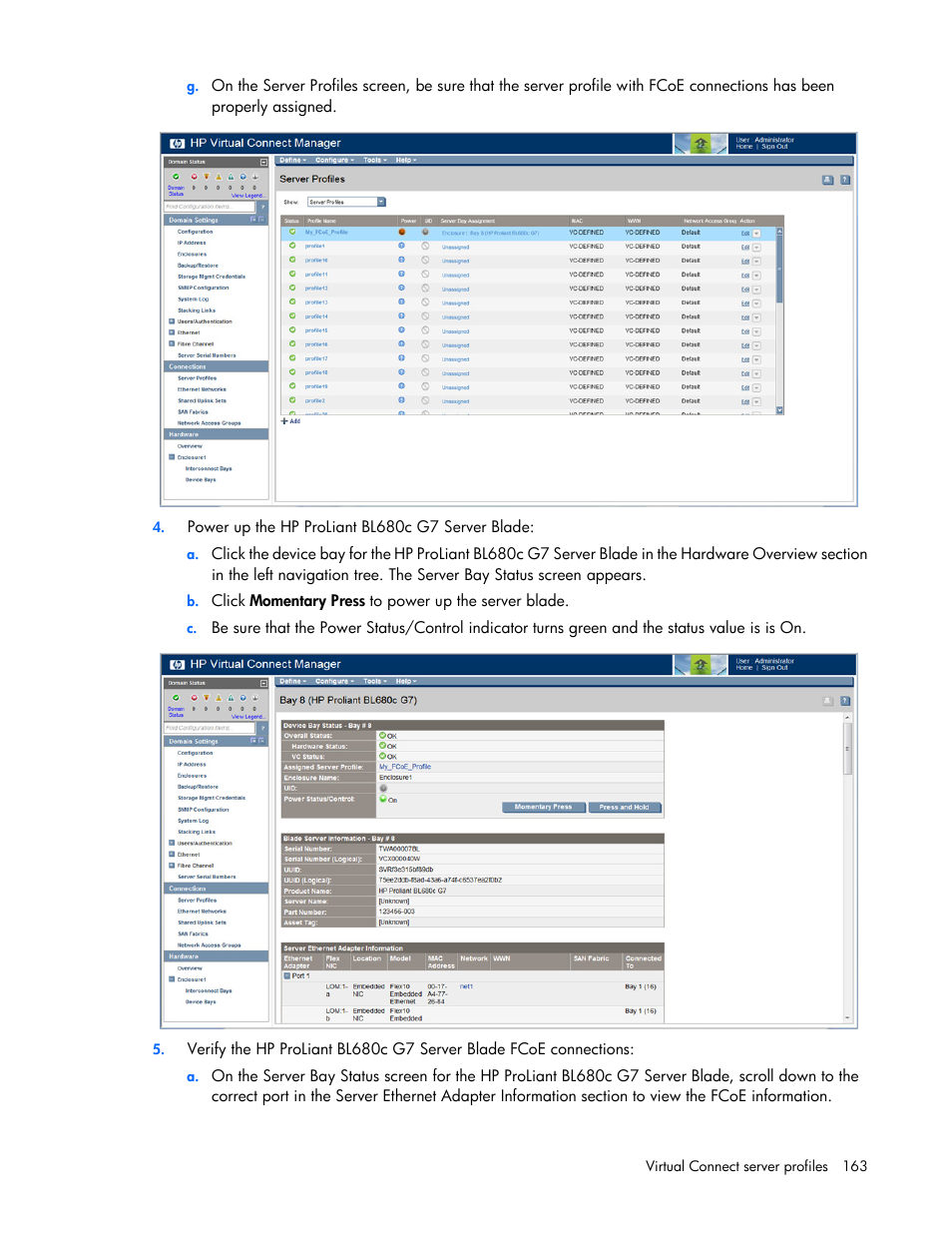 HP Virtual Connect 8Gb 20-port Fibre Channel Module for c-Class BladeSystem User Manual | Page 163 / 223