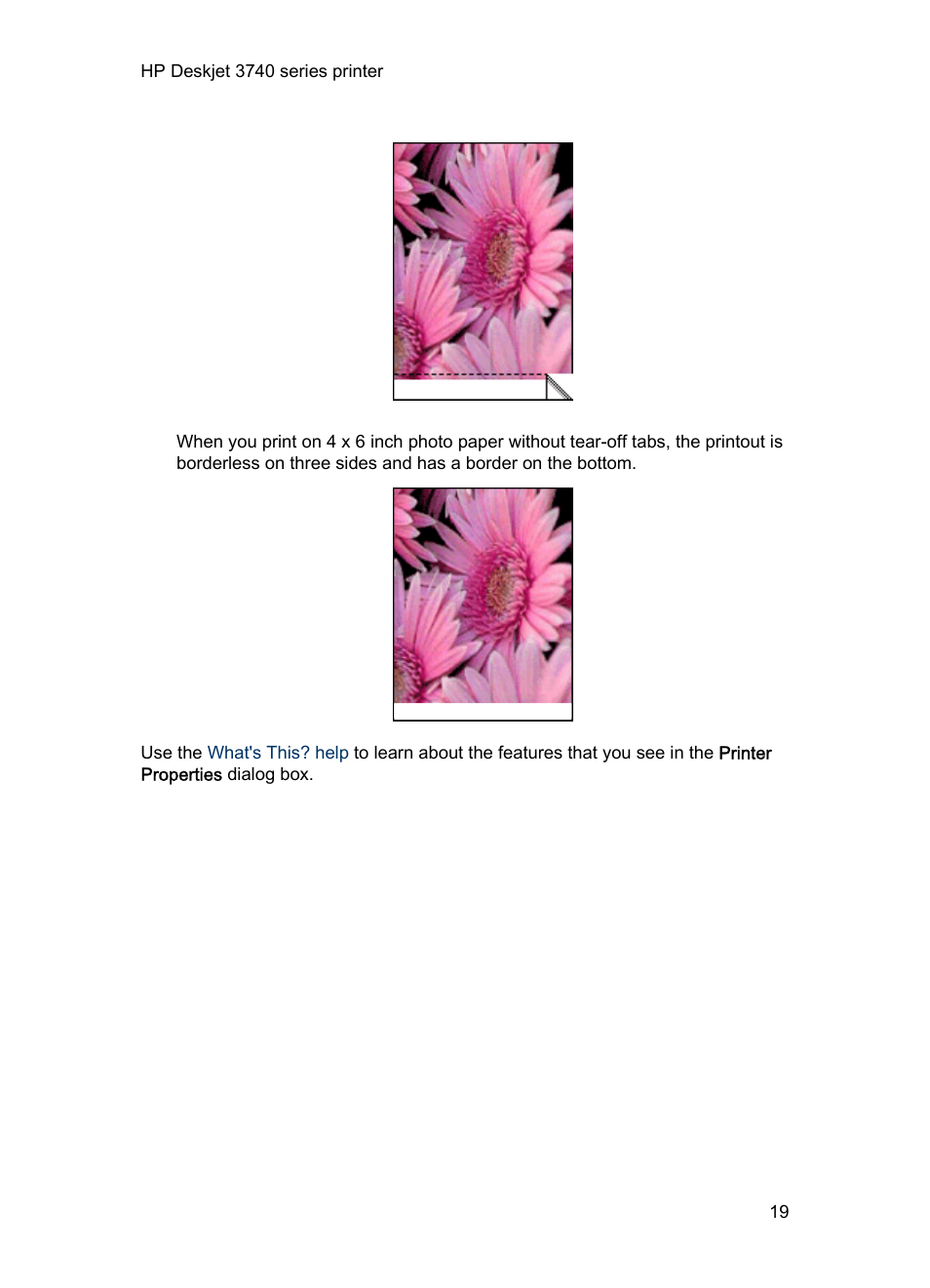 HP Deskjet 3745 Color Inkjet Printer User Manual | Page 19 / 73