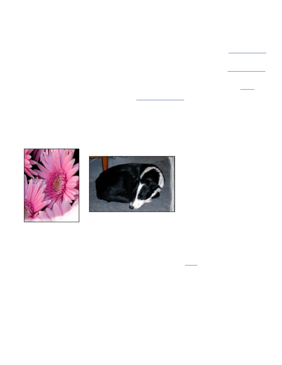 Borderless printing problems, Guidelines, Part of the photograph is faded | HP Deskjet 5650 User Manual | Page 58 / 165